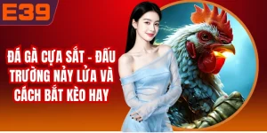 Đá Gà Cựa Sắt - Đấu Trường Nảy Lửa Và Cách Bắt Kèo Hay