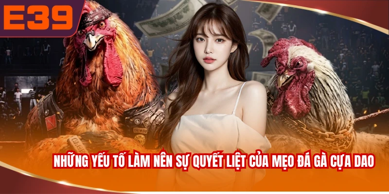 Những yếu tố làm nên sự quyết liệt của mẹo đá gà cựa dao